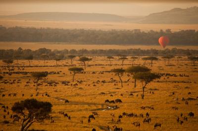 Hot Air Balloon Safari
