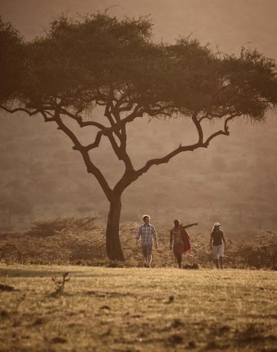 Guided walking safari