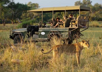 Game Drives