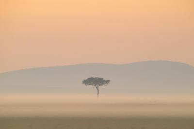 Hot air balloon safaris