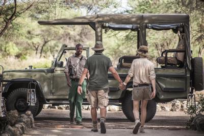 Day trips to Tarangire National Park