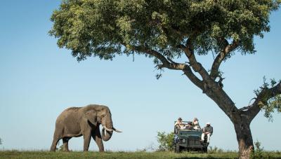 Game Drives