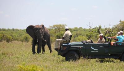 Game Drives
