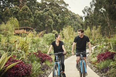 DISCOVER GORILLA’S NEST BY BIKE