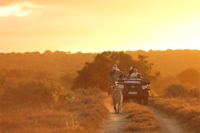 Game Drives: Twice Daily 