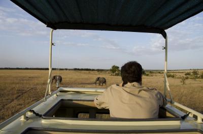 Private Game Drives