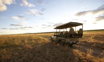 Game Drives