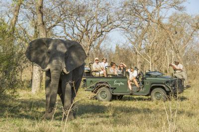 Game Drives