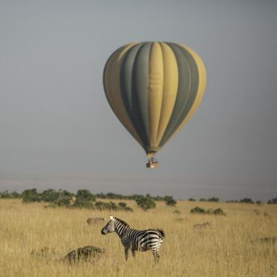 Hot Air Balloon Safari