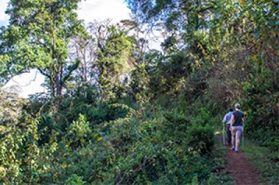 Farm to Ngorongoro Crater Rim Walk