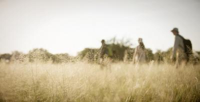 Walking Safari