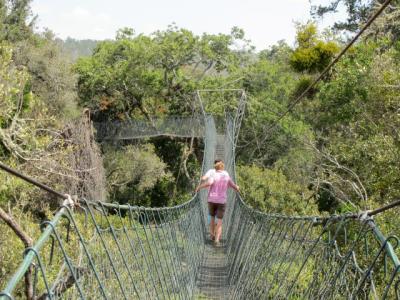 Ngarendare Forest Visit