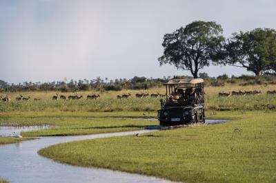 Full-Day Game Drives & Picnics