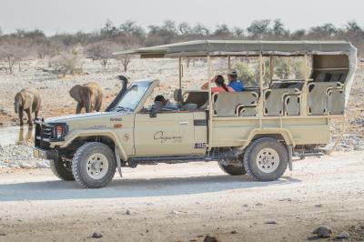 Etosha Game Drives