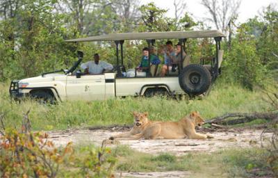 Game Drives