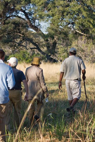 Walking Safari 