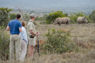 Big Game Walking Safari 