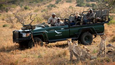 Game Drives