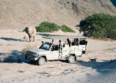 Game Drives at Hoanib Valley Camp