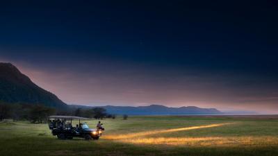 Night Game Drives