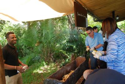 CULINARY TOUR