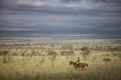 HORSE RIDING