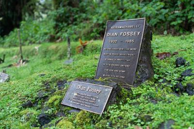 Trek to Dian Fossey Research Camp and Grave