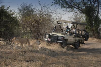 Game Drives