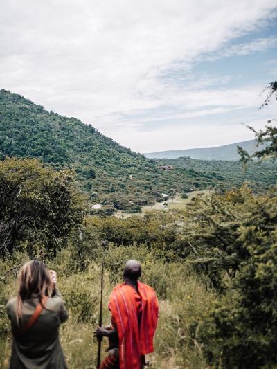 Guided bush walks