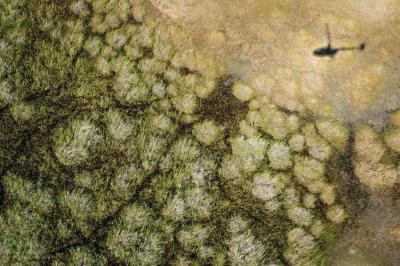 Scenic Flight and Champagne Stop 