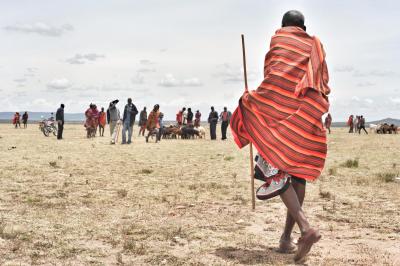 Cultural and community visits