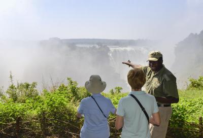Guided Tour of the Falls