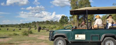 Game Drives