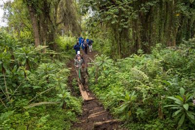 Bisate Lodge – Guided Walks In Volcanoes National Park