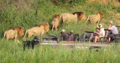 Game Drives