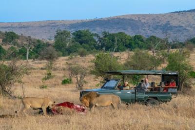 Game Drive