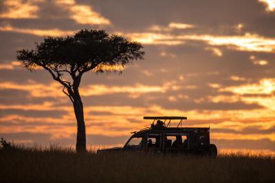 Game drives
