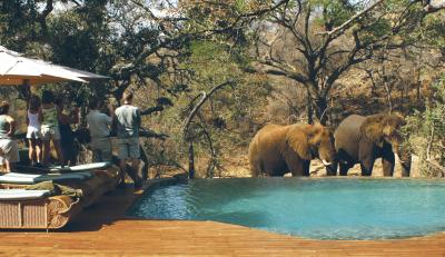 Swimming Pool at Tuningi Lodge