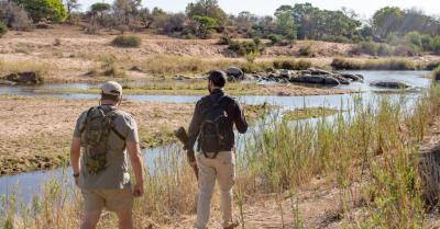 Guided Bush Walk