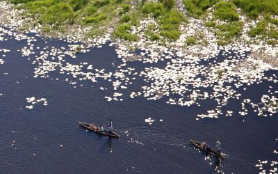 Scenic Helicopter Flight