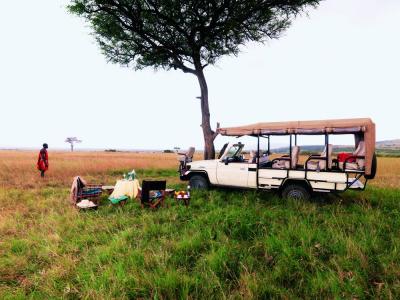 Full Day Game Drive & Picnic Lunch