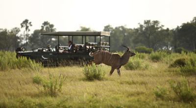 Game Drives 