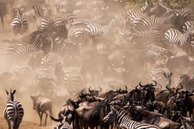 Mara Crossing