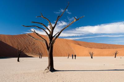 Visit Sossusvlei & Dead Vlei