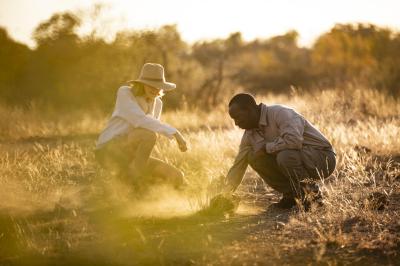 Guided Safari Walks