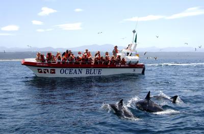 Ocean Blue Adventures 