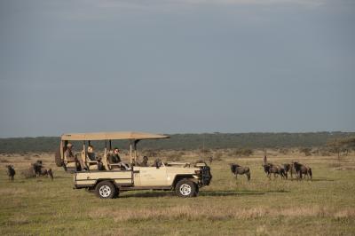 GAME DRIVES