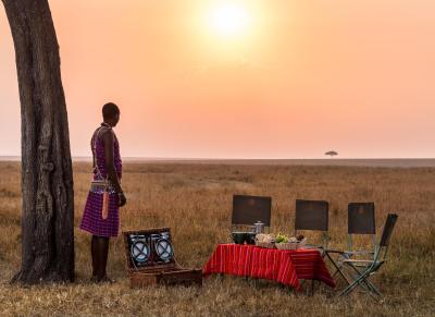 Bush picnics & breakfasts