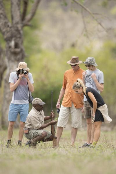 Guided Safari Walks 