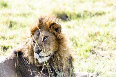 Game Drive